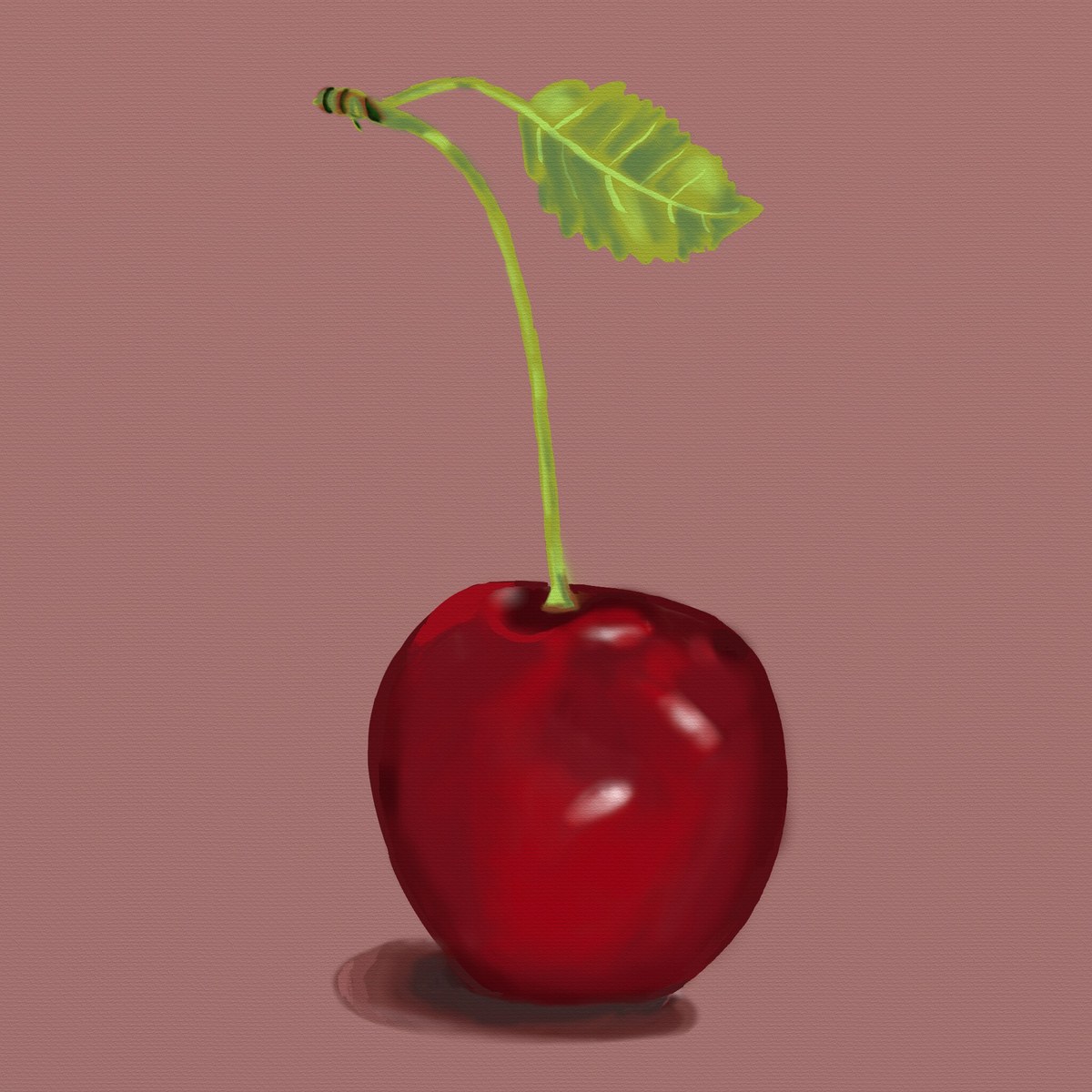 A single dark red cherry with its stalk and two leaves, painted against a dusty rose ground