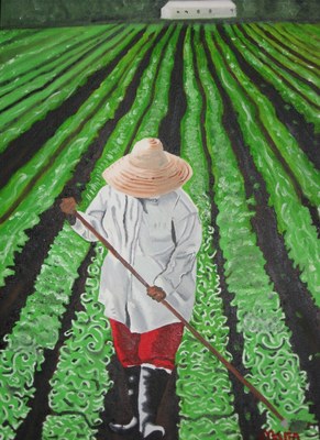 A figure in a straw hat and red trousers hoeing long green rows of crops